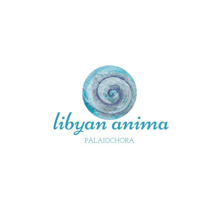 Libyan Anima Maisonette & Double Rooms Палеохора Экстерьер фото